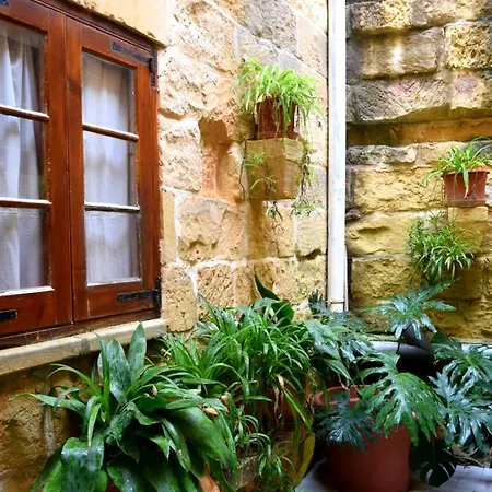 Tal-qajru Farmhouse بيت ضيافة *